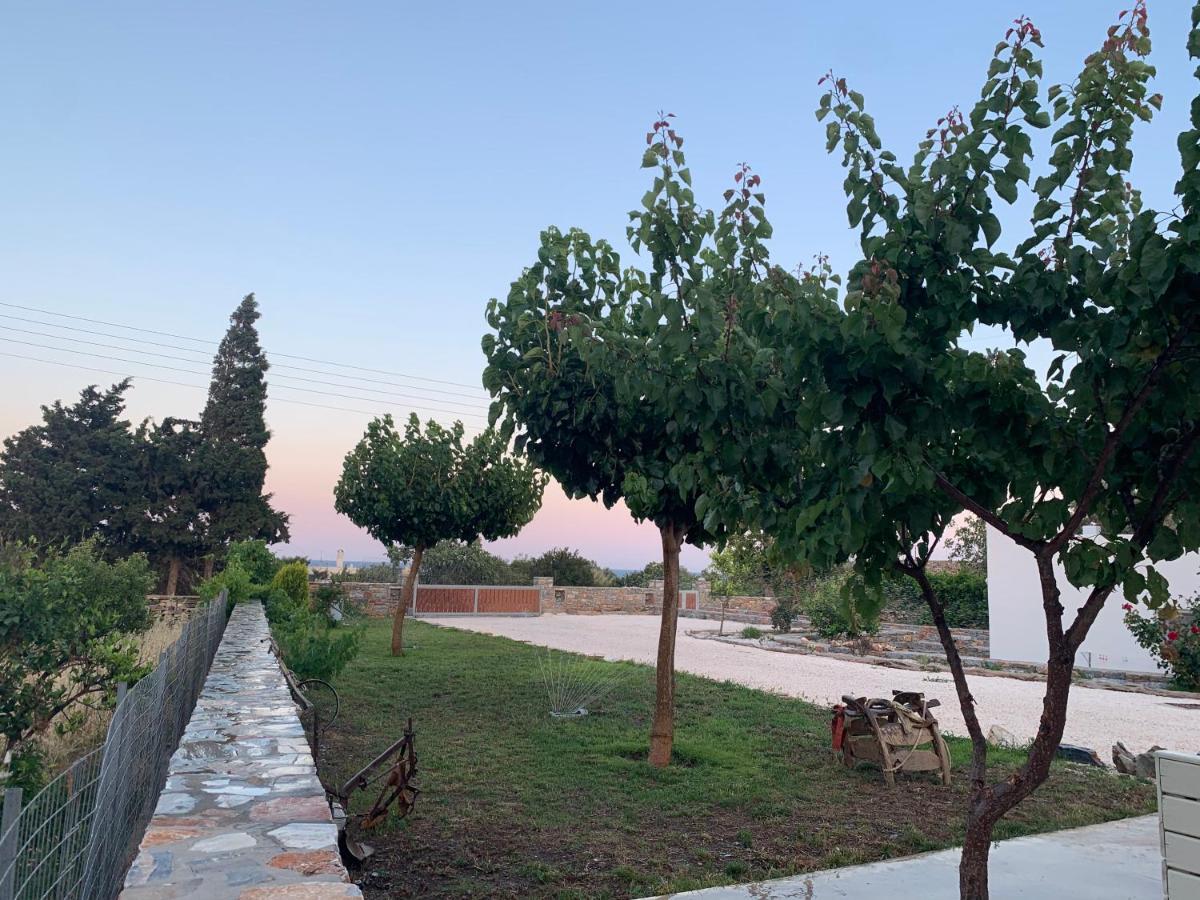 Apartmán Sarris